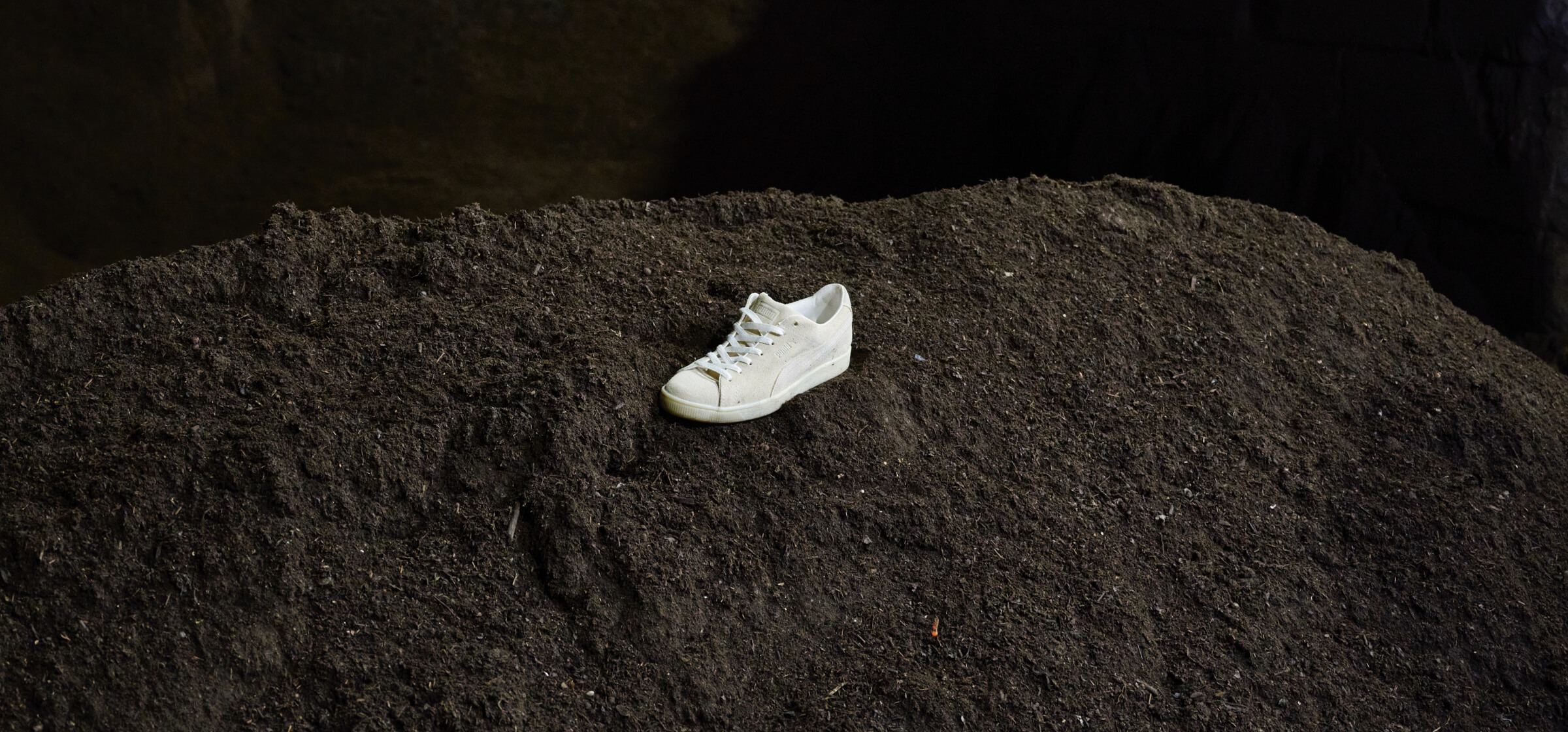 Puma Pic 4